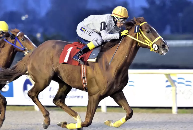 Caballo de carrera