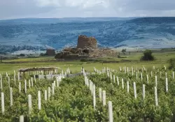 Destinos que esconden algunas de las mejores joyas del vino