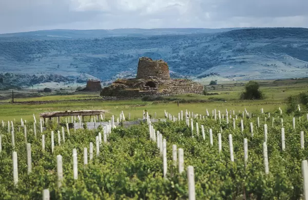 Destinos que esconden algunas de las mejores joyas del vino