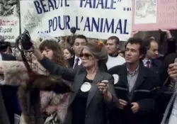 Brigitte Bardot muere a los 91 años: diosa indomable, mito del cine francés y un ícono mundial del activismo