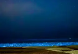 El mar de Punta del Este tiene luz propia: el fenómeno natural que atrae a los turistas