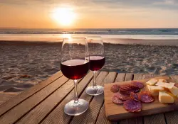 Cinco vinos uruguayos que todo argentino debe probar en Punta del Este