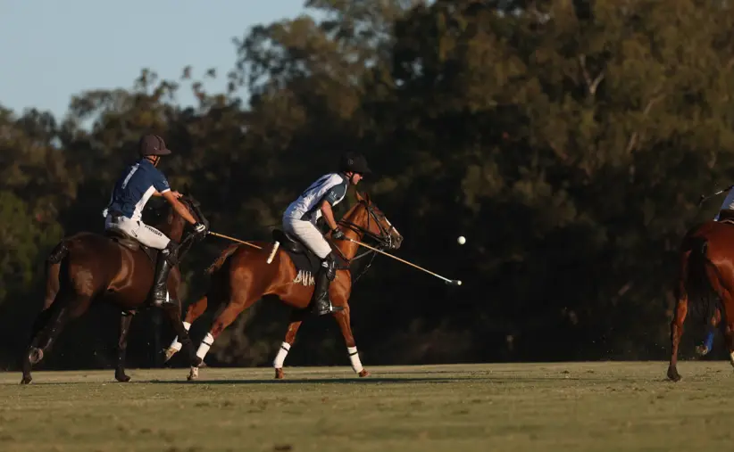 Polo Punta del Este
