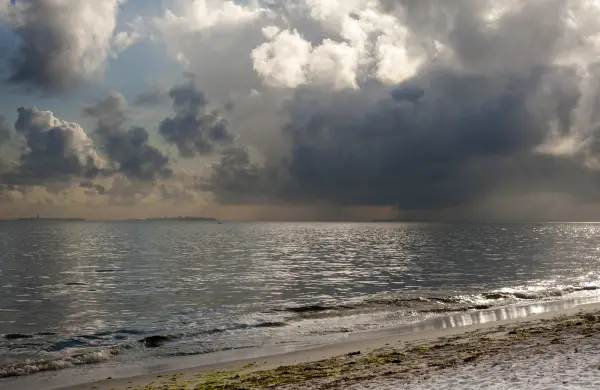 Cinco planes para disfrutar Punta del Este cuando llueve: arte, gastronomía y vinos de autor