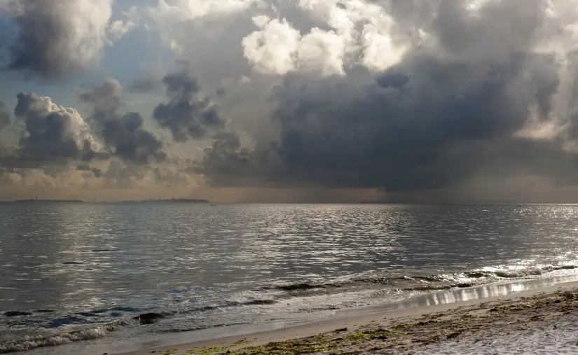 Cinco planes para disfrutar Punta del Este cuando llueve: arte, gastronomía y vinos de autor