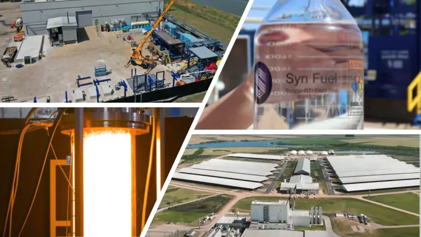 Planta Syzygy Durazno