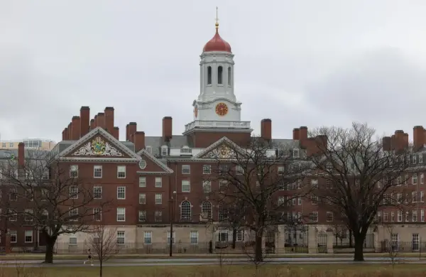 La enseña de Harvard a los futuros líderes sobre cómo invertir en tiempos irracionales
