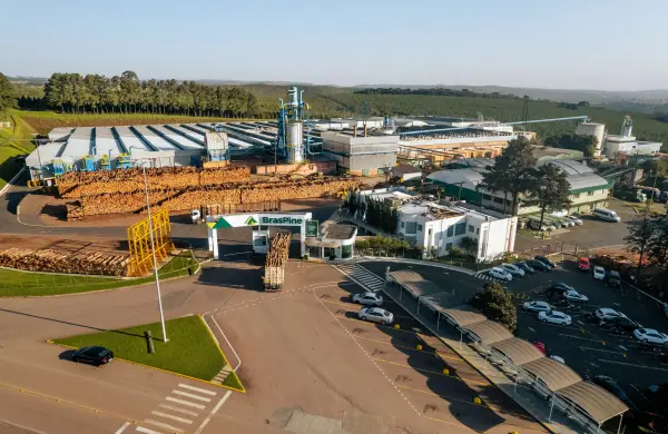 Compañía forestal–industrial BrasPine invertirá US$ 250 millones en Rivera para instalar su primera planta fuera de Brasil