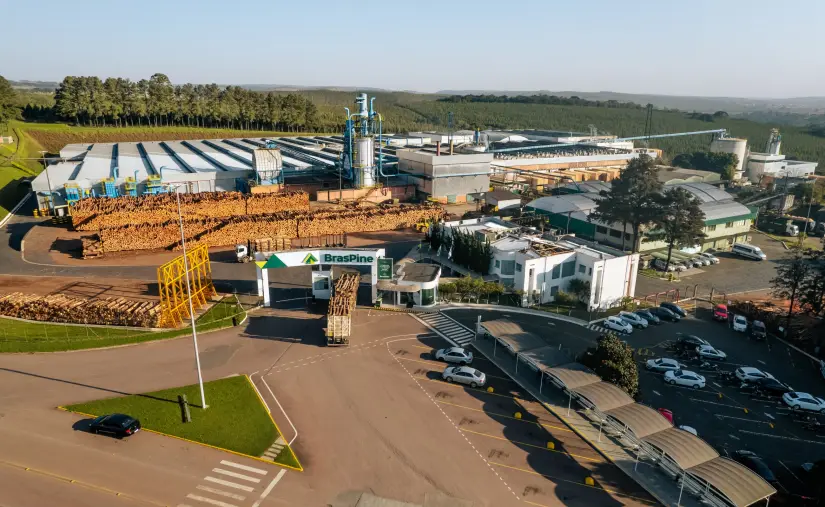 Compañía forestal–industrial BrasPine invertirá US$ 250 millones en Rivera para instalar su primera planta fuera de Brasil