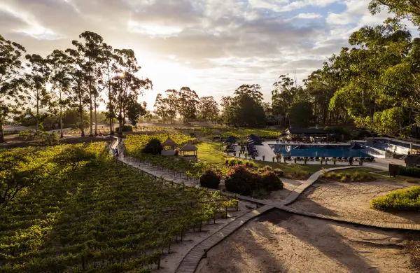 Carmelo Resort & Spa: el "plan maestro" que transformó un destino