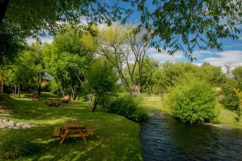 Viñas del Nant y Fall