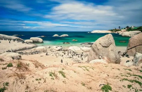 ¿Cuáles son las diez playas más populares del mundo?