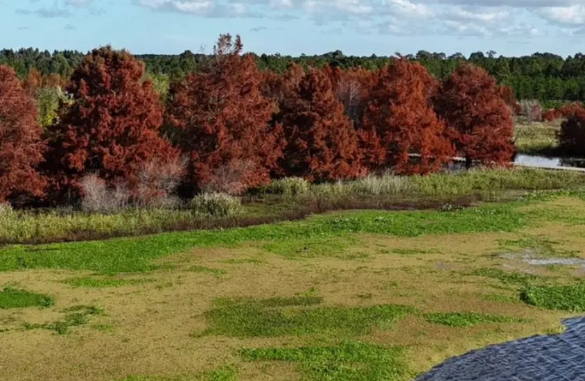 Reserva de Chacras Laguna del Cisne: el proyecto que propone "vivir como en el campo, pero dentro de la ciudad"