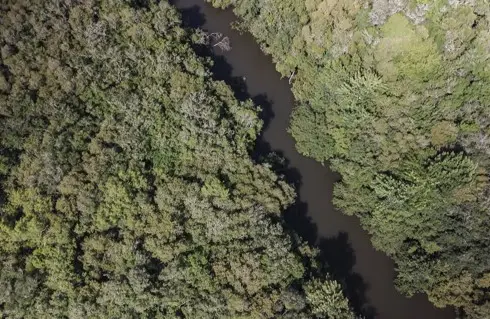 El sistema Coca-Cola en Uruguay avanza en su compromiso con el cuidado del medioambiente
