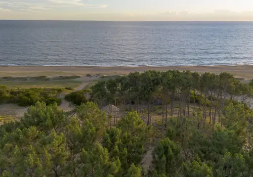 Empresario griego dueño de emblemáticos hoteles en Atenas construye un barrio privado en Punta Ballena junto a Guillermo Jacob, de CHR Group