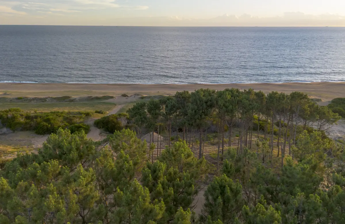 Empresario griego dueño de emblemáticos hoteles en Atenas construye un barrio privado en Punta Ballena junto a Guillermo Jacob, de CHR Group