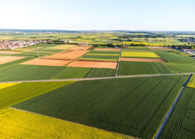 Fotos de stock gratuitas de agricultura, al aire libre, campo. (Foto: Pexels)