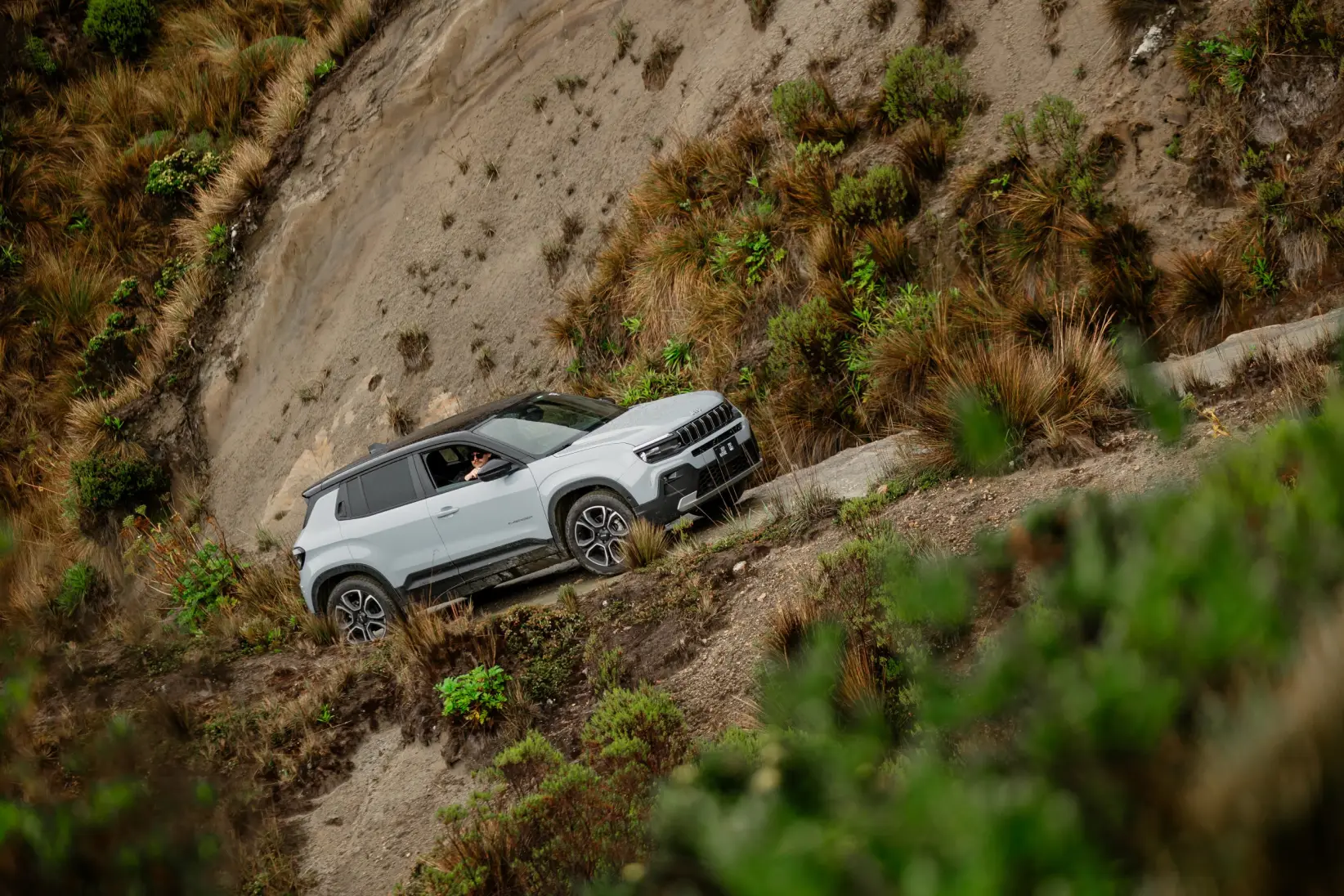 Jeep Nature 85 años