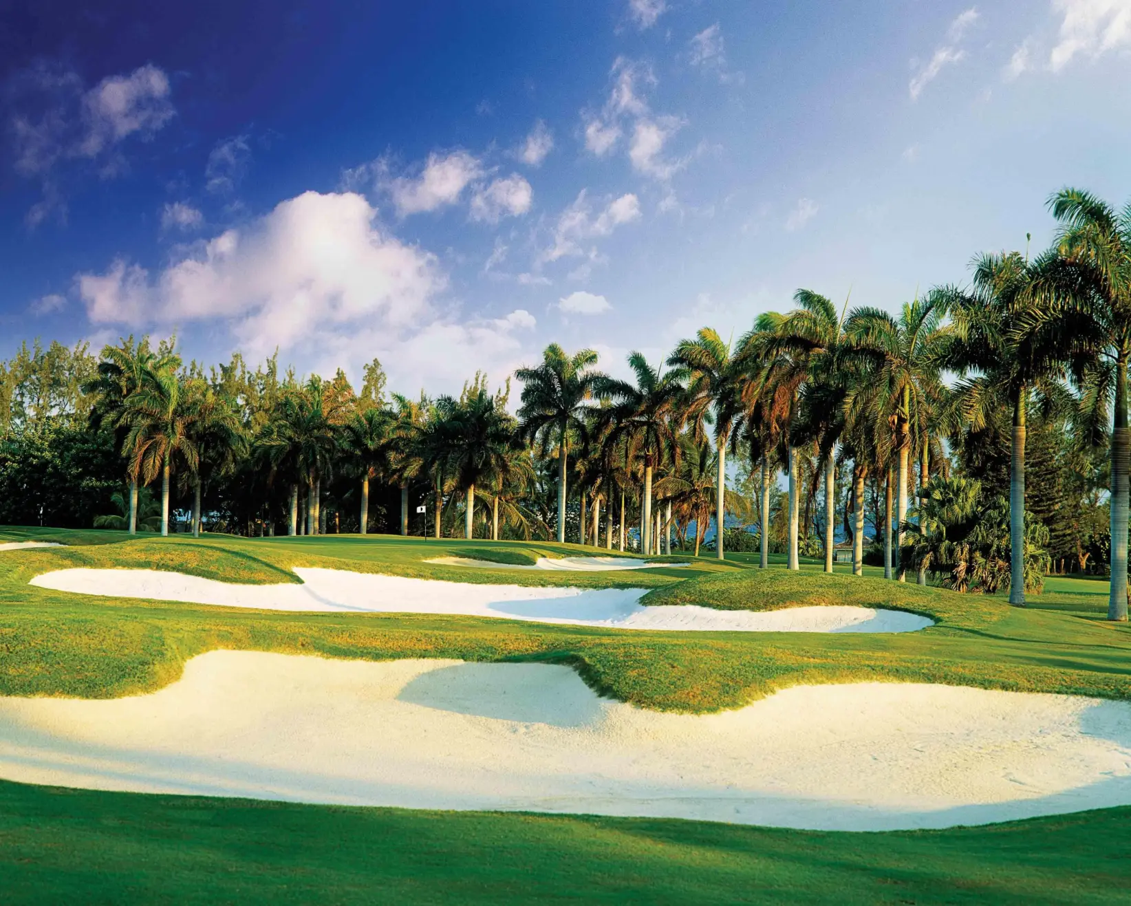 halfmoon golf jamaica