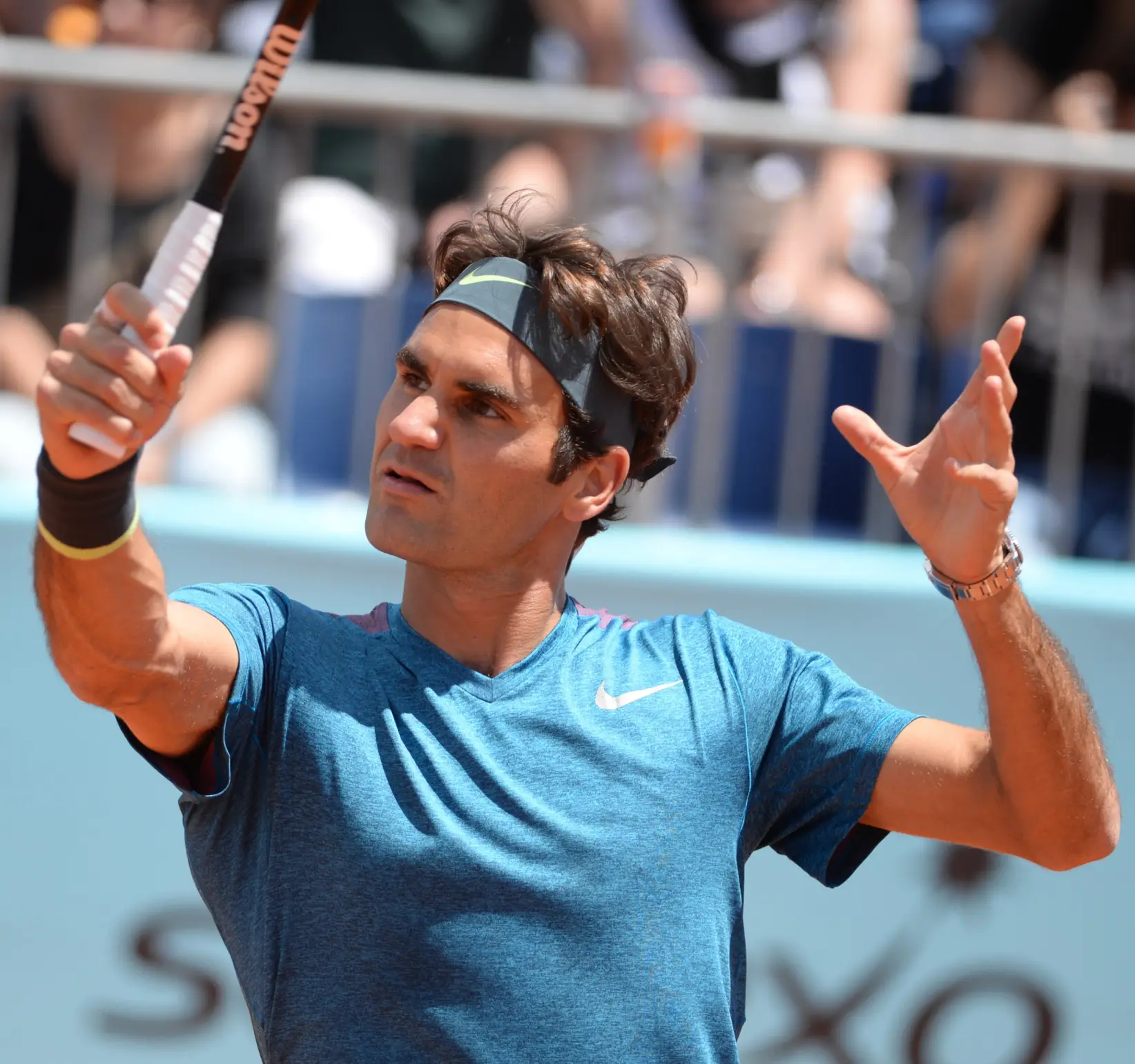 SE PUEDE USAR/Rogger Federer (Crédito: Tatiana from Moscow- Russia, via Wikimedia Commons)