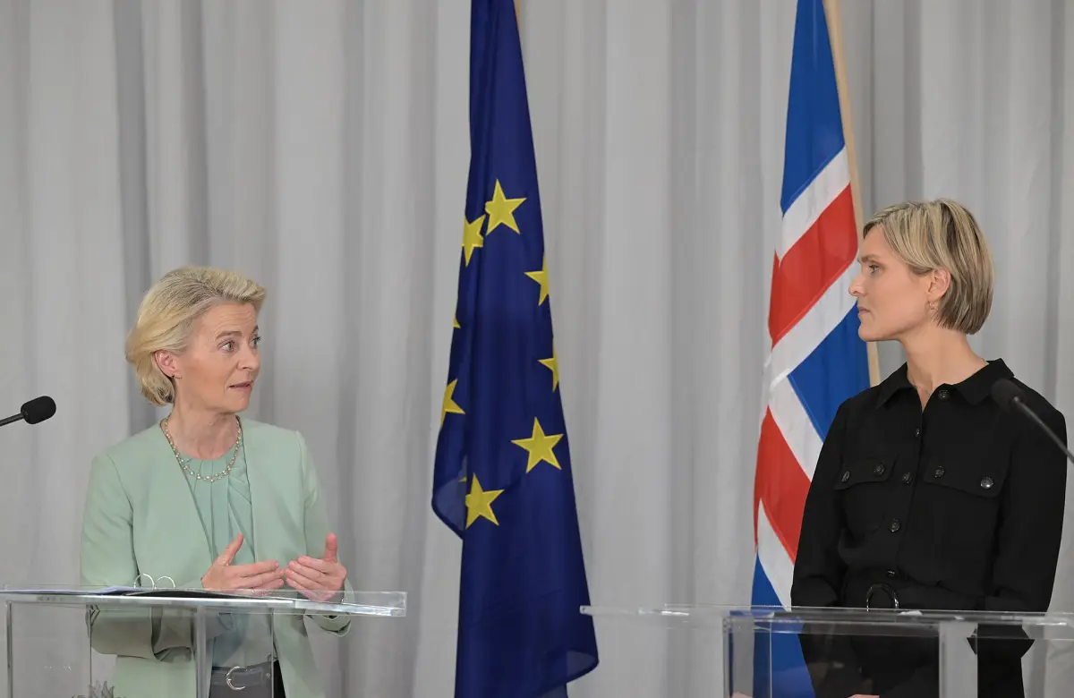 Islandia frenó su ingreso a la Unión Europea: por qué la pesca, los precios y Trump marcaron el referéndum