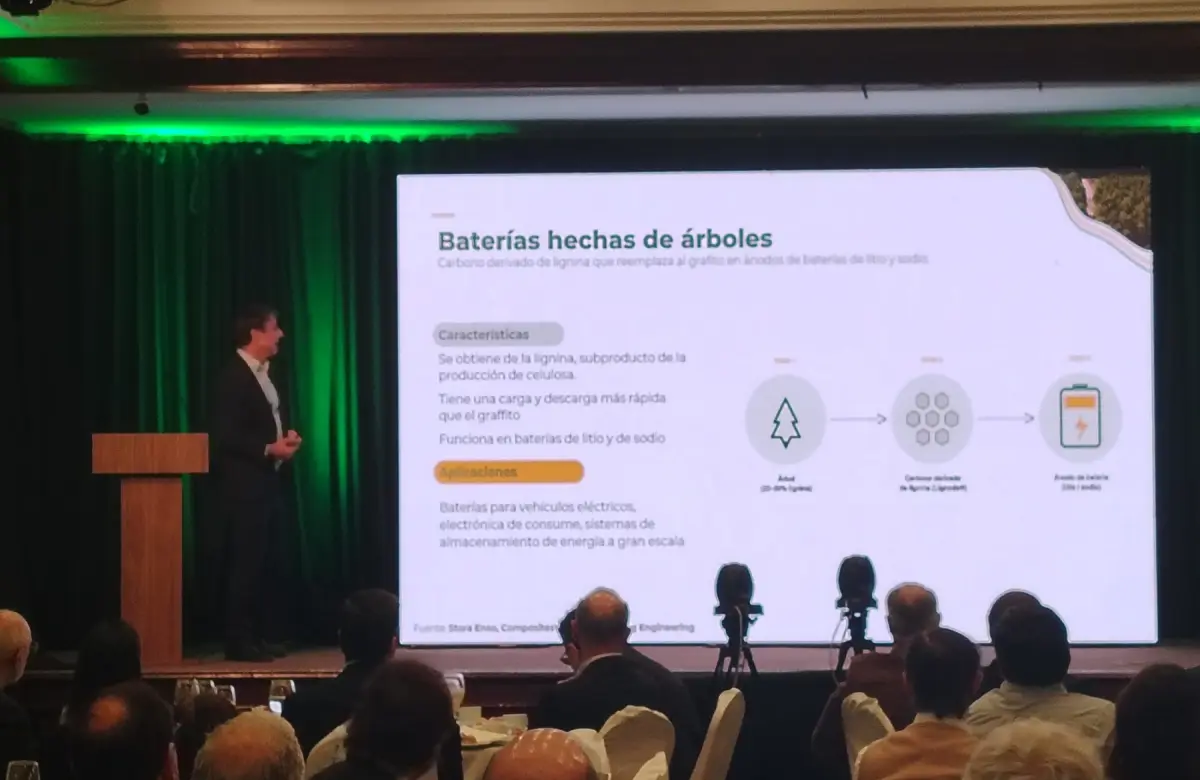 “Decisiones que marcan el futuro”: forestales le pusieron números al plan para sumar 500 mil hectáreas de bosque en Uruguay 