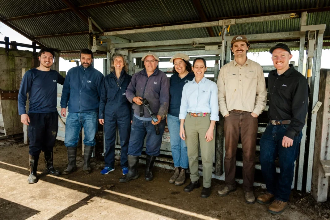 Halter llega a Uruguay