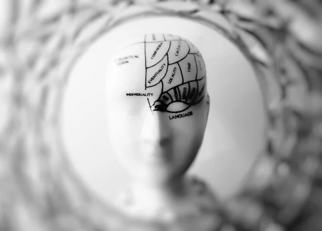 Imagen en blanco y negro en primer plano de una cabeza de frenología con secciones del cerebro etiquetadas.