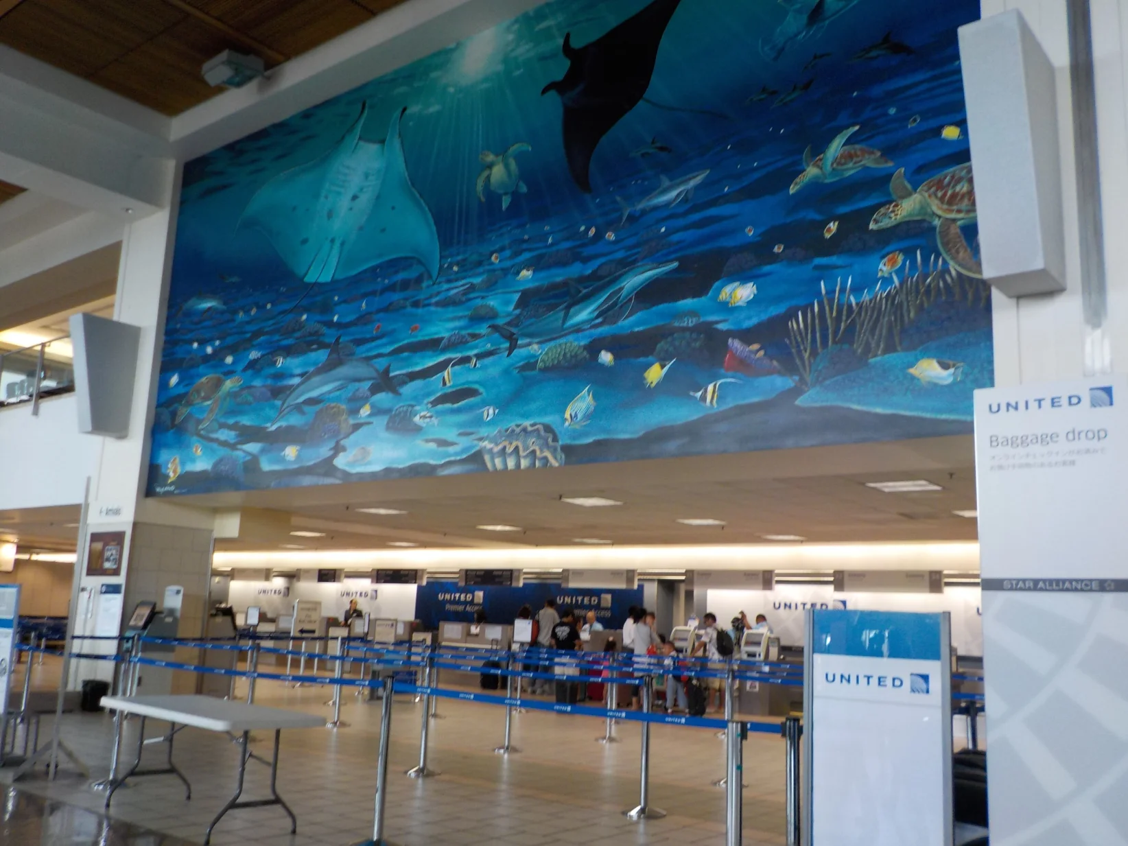 SE PUEDE USAR/United Airlines fue una de las grandes aerolíneas con las que CLEAR estableció alianzas estratégicas para ampliar su alcance y atraer nu - Foto: 小野 優太, CC BY-SA 4.0 , via Wikimedia Commons.