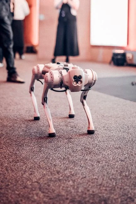 Perro robótico exhibido en un evento tecnológico que muestra tecnología innovadora.
